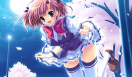 动漫白丝图片,动漫中的纯洁与诱惑